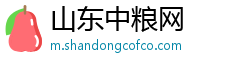 山东中粮网